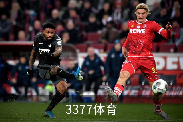 3377体育公司介绍图片
